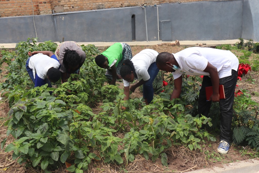 Le premier Centre de Formation Professionnelle et de Promotion Agro-écologique au Rwanda (CEFOPPAK : Centre de Formation Professionnelle et de Promotion Agro-écologique de Kabgayi)